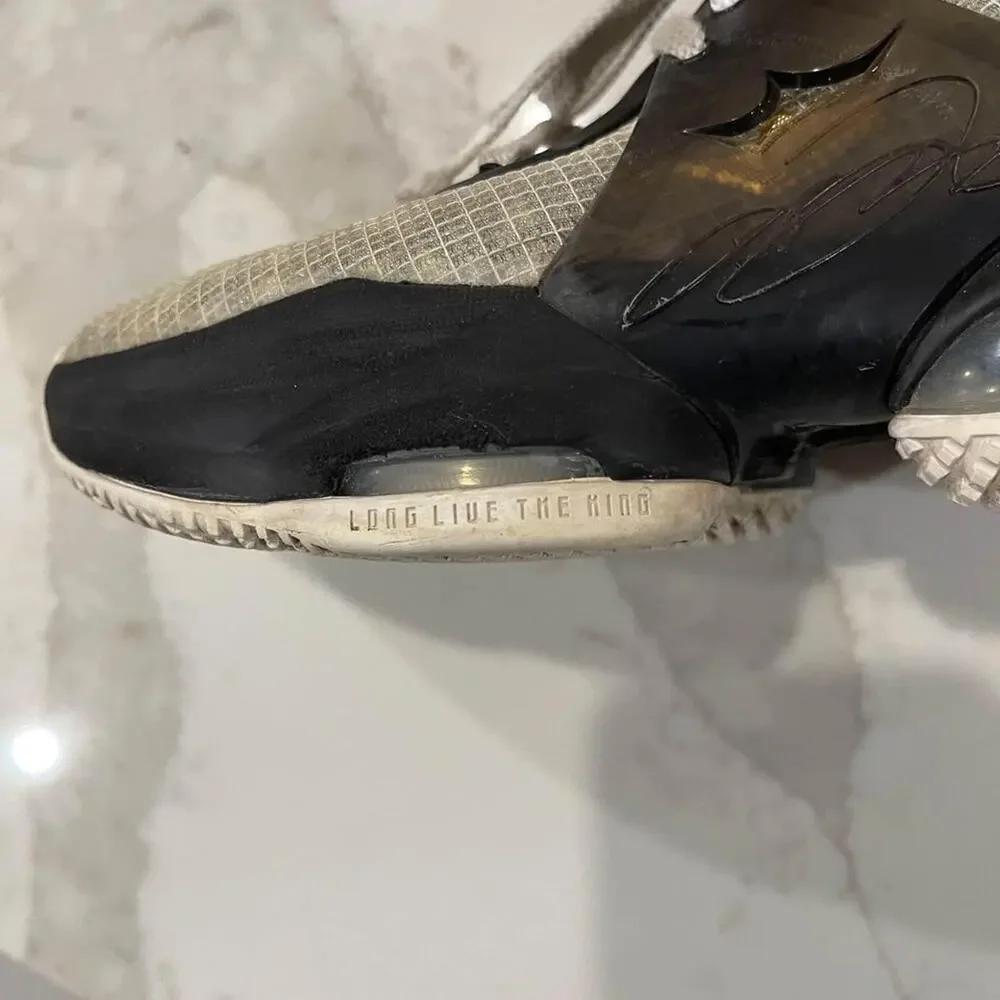 Nike Lebron 19 SE Royalty GS Big Kids 4.5Y Shoes Sneakers DD0422-100 4.5 Y Boys - Picture 8 of 10